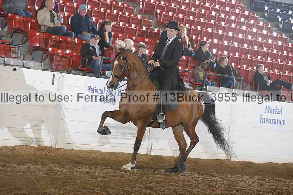 Proof 13buck_3955