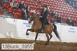13buck_3955 proof
