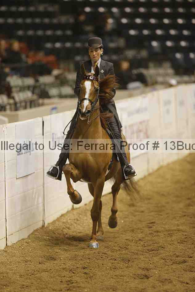 Proof 13buck_3956