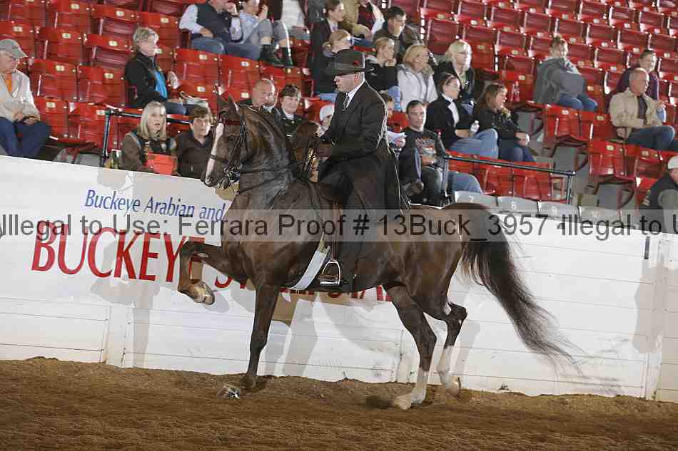 Proof 13buck_3957