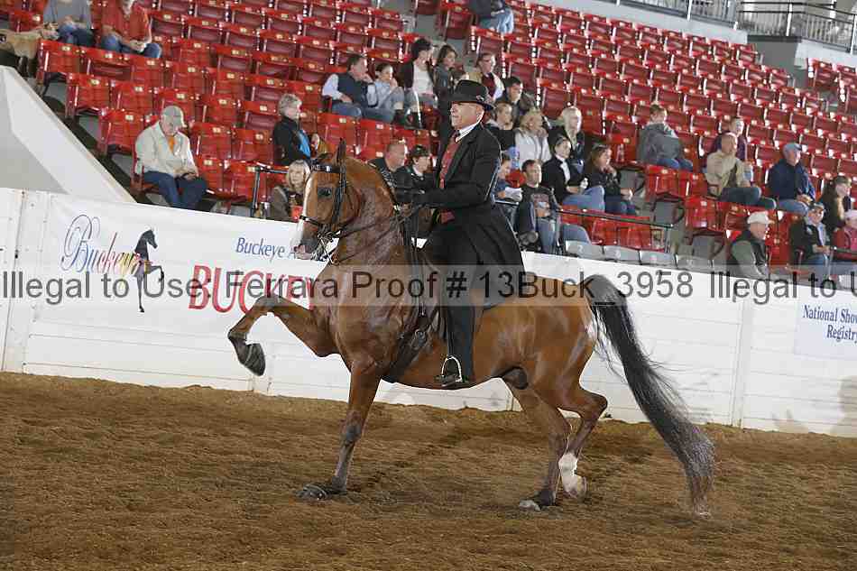 Proof 13buck_3958