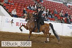 13buck_3958 proof