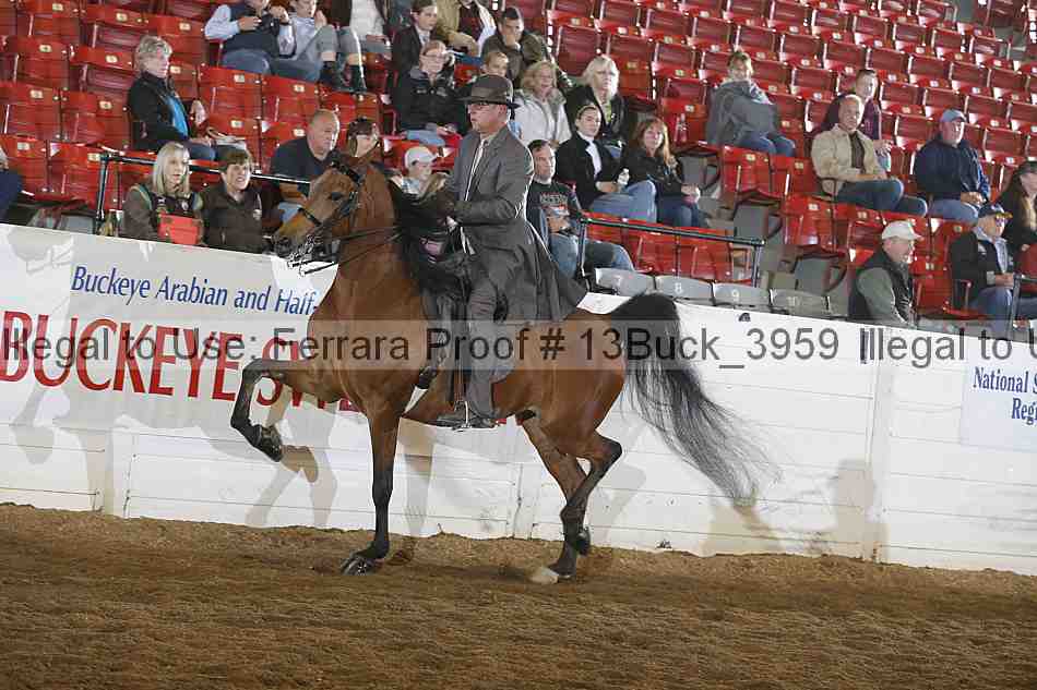 Proof 13buck_3959