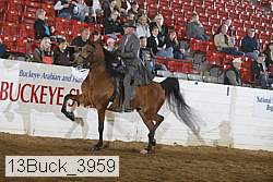 13buck_3959 proof