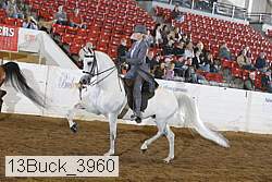 13buck_3960 proof