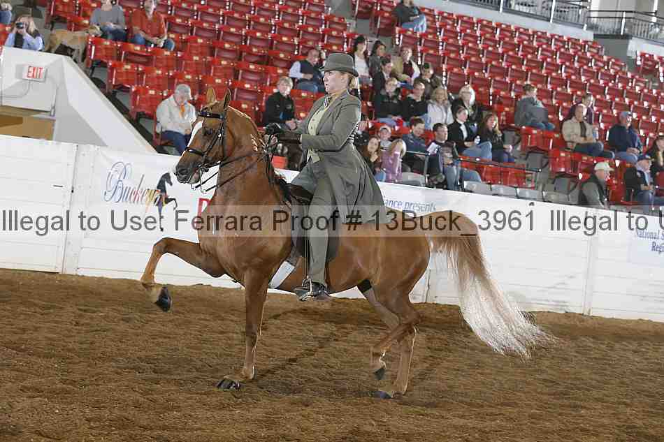 Proof 13buck_3961