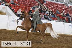 13buck_3961 proof