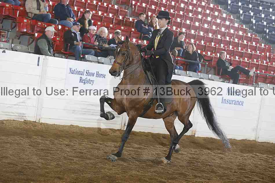 Proof 13buck_3962