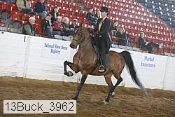 13buck_3962 proof