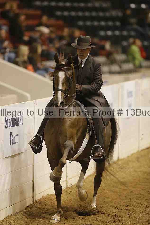 Proof 13buck_3963