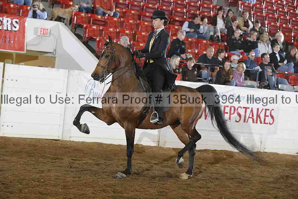 Proof 13buck_3964