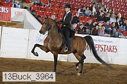 13buck_3964 proof
