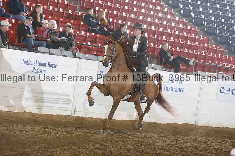 Proof 13buck_3965