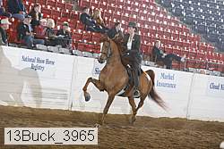 13buck_3965 proof