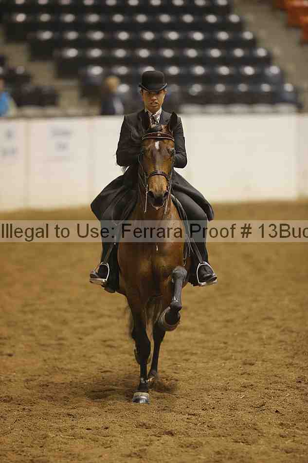 Proof 13buck_3966