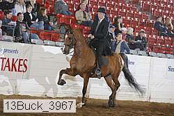 13buck_3967 proof