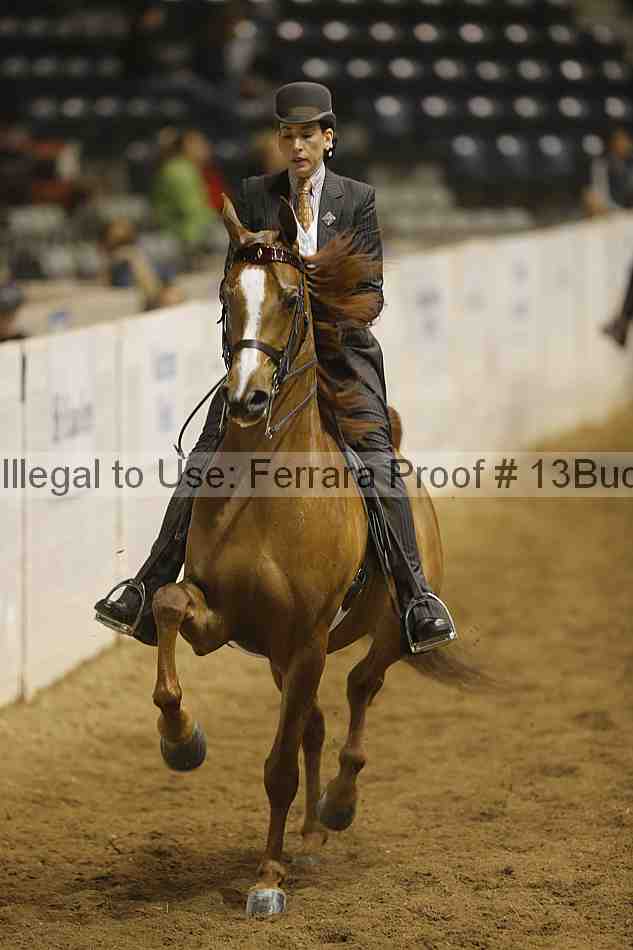 Proof 13buck_3968