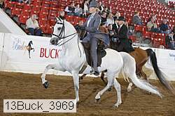 13buck_3969 proof