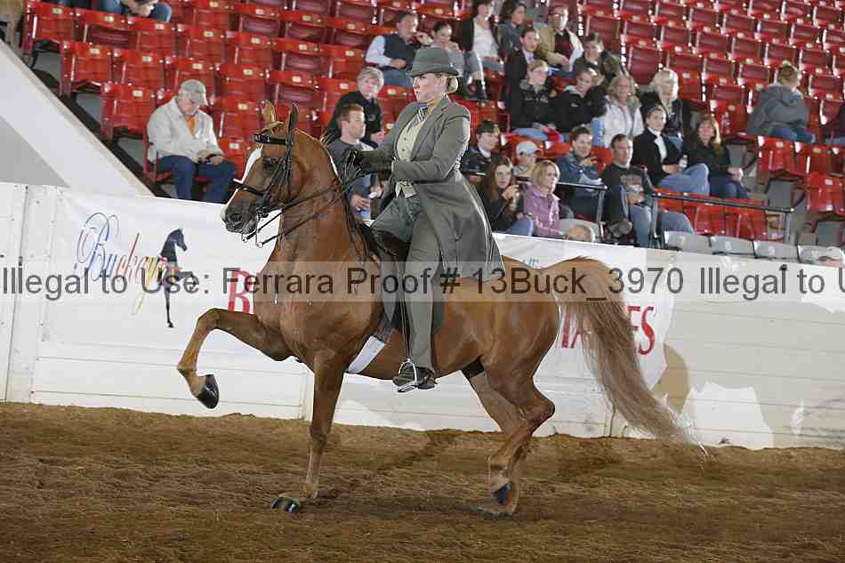 Proof 13buck_3970