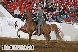 13buck_3970 proof