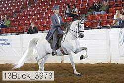 13buck_3973 proof