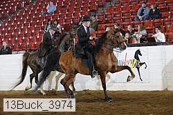13buck_3974 proof