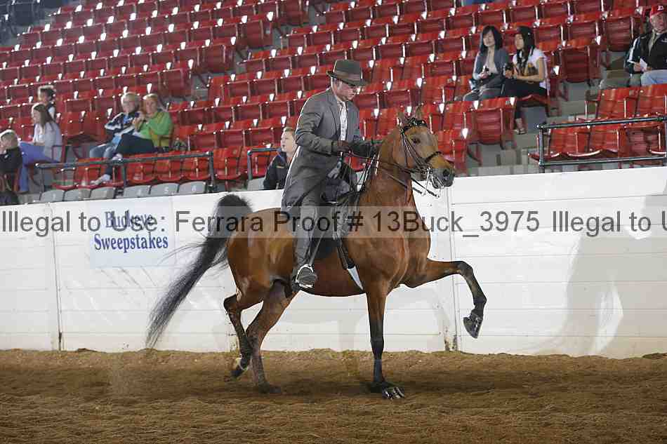 Proof 13buck_3975