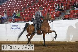 13buck_3975 proof