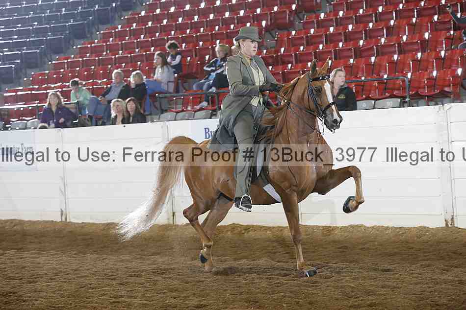 Proof 13buck_3977