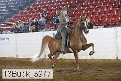13buck_3977 proof