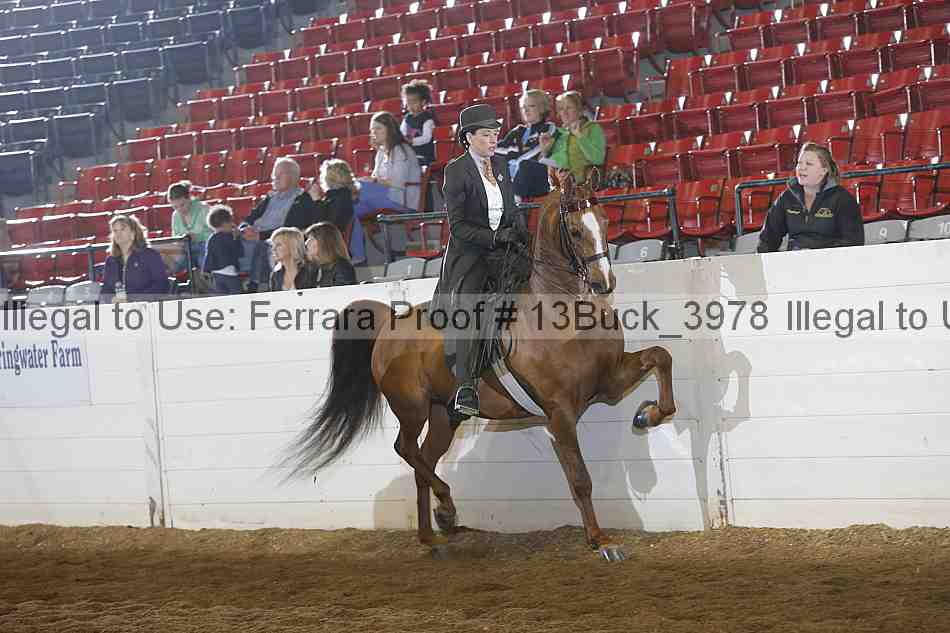 Proof 13buck_3978