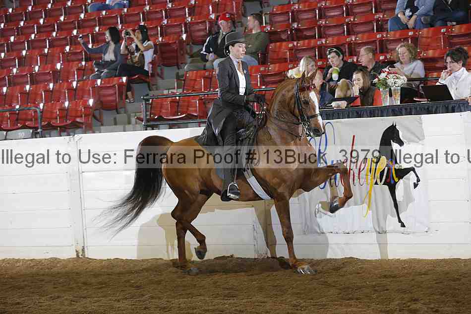Proof 13buck_3979