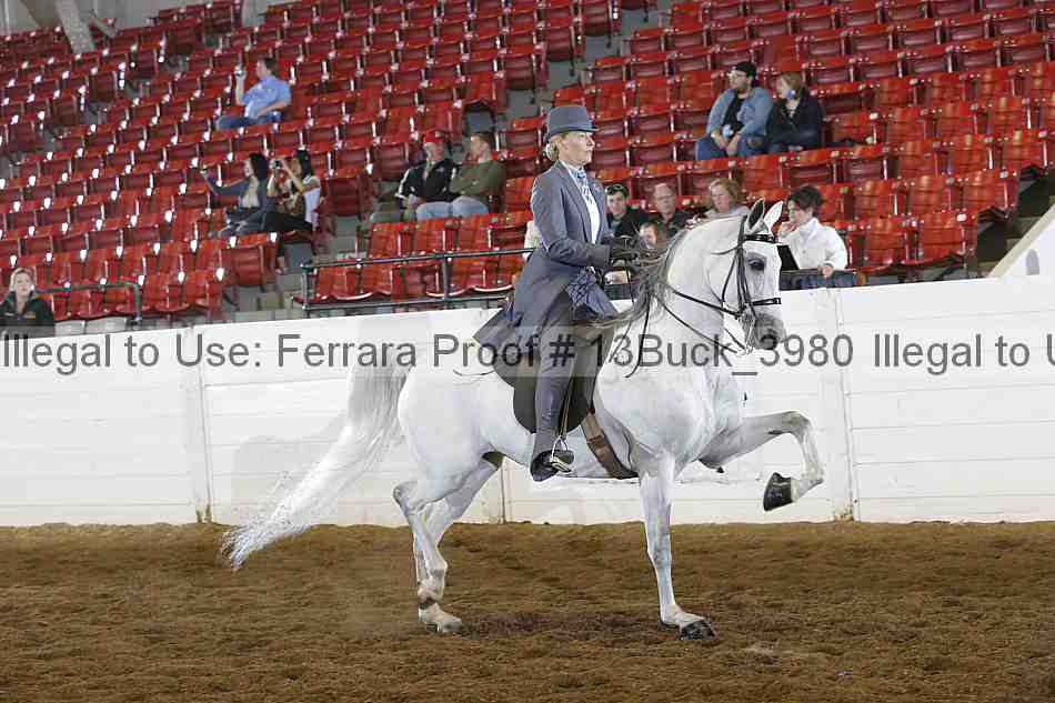 Proof 13buck_3980