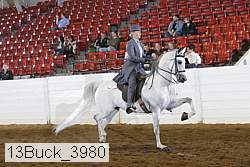 13buck_3980 proof