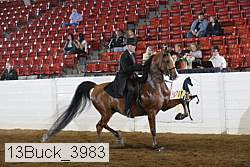 13buck_3983 proof