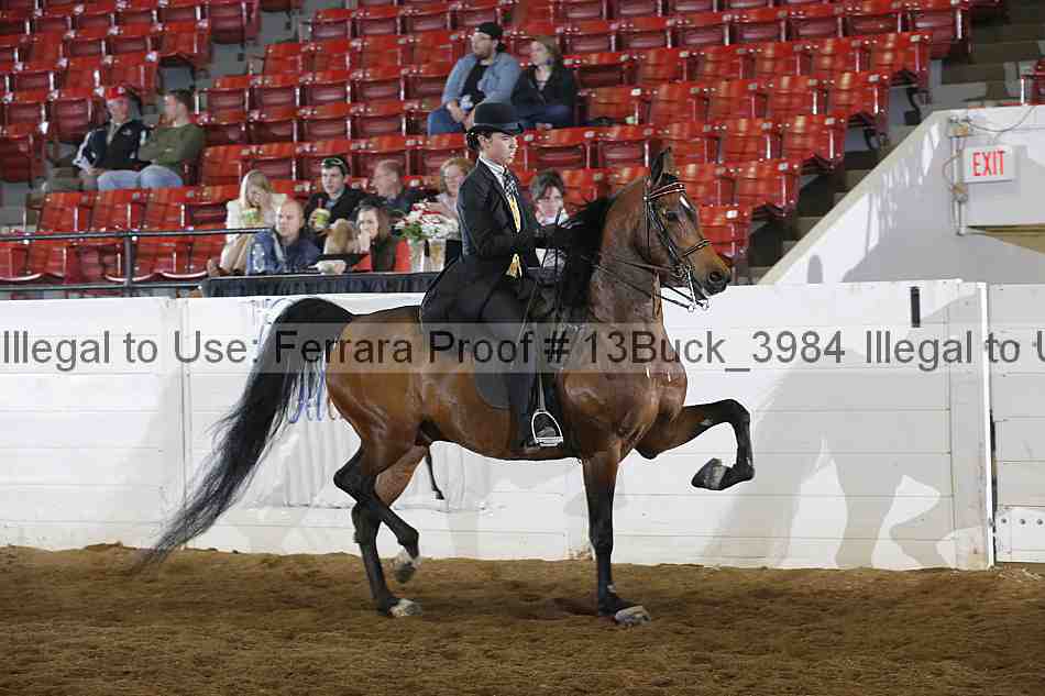 Proof 13buck_3984