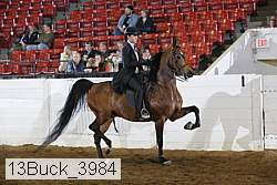 13buck_3984 proof