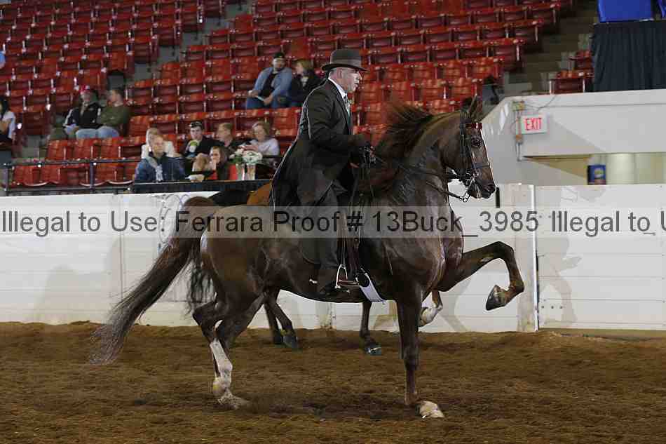Proof 13buck_3985