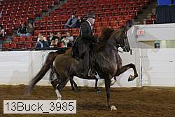 13buck_3985 proof