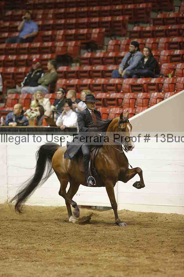 Proof 13buck_3986