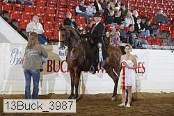 13buck_3987 proof