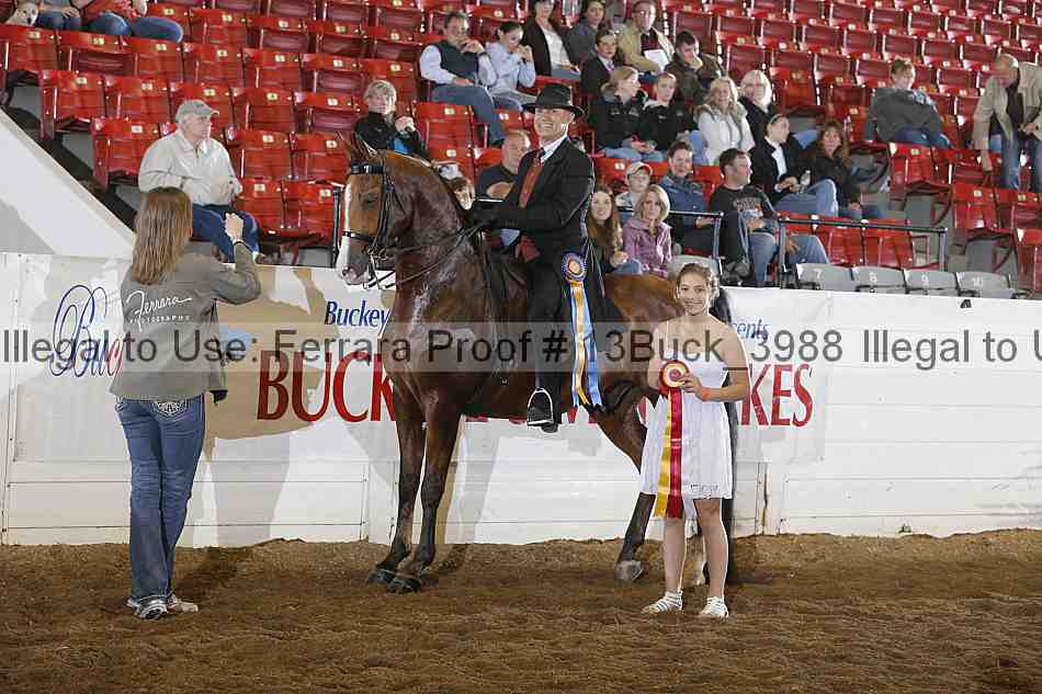 Proof 13buck_3988