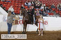 13buck_3988 proof