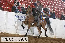 13buck_3990 proof