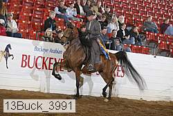 13buck_3991 proof
