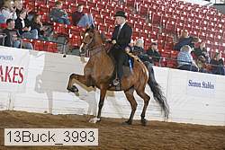 13buck_3993 proof