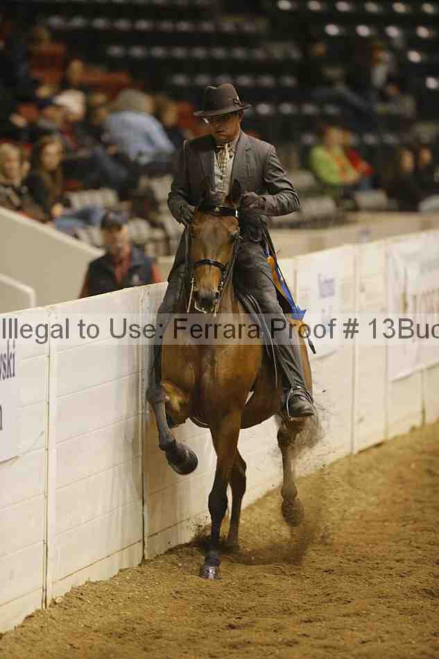 Proof 13buck_3994
