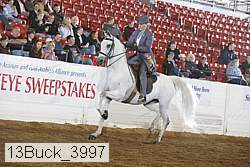 13buck_3997 proof