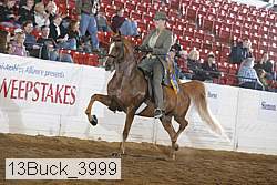 13buck_3999 proof