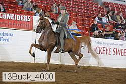 13buck_4000 proof